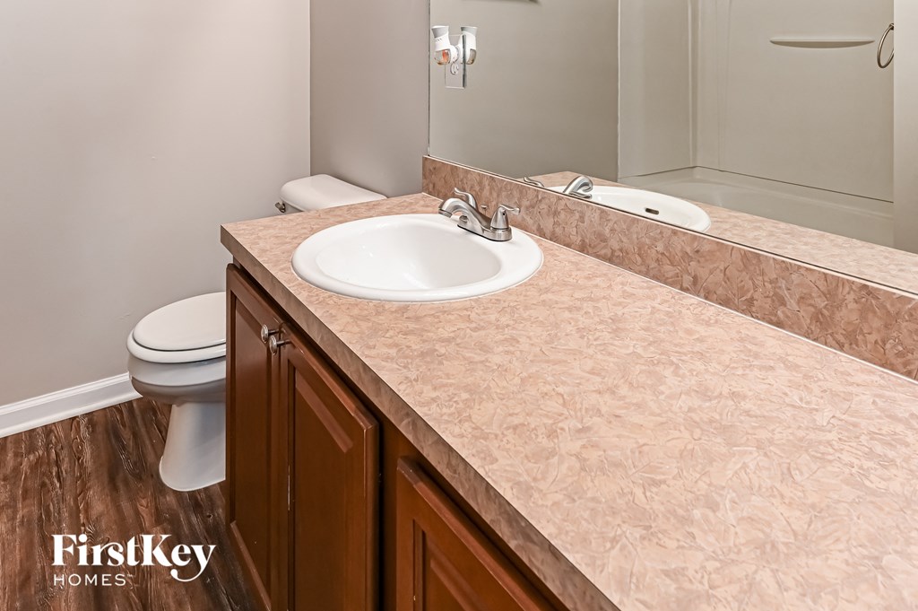 a bathroom with a sink and a toilet and a mirror
