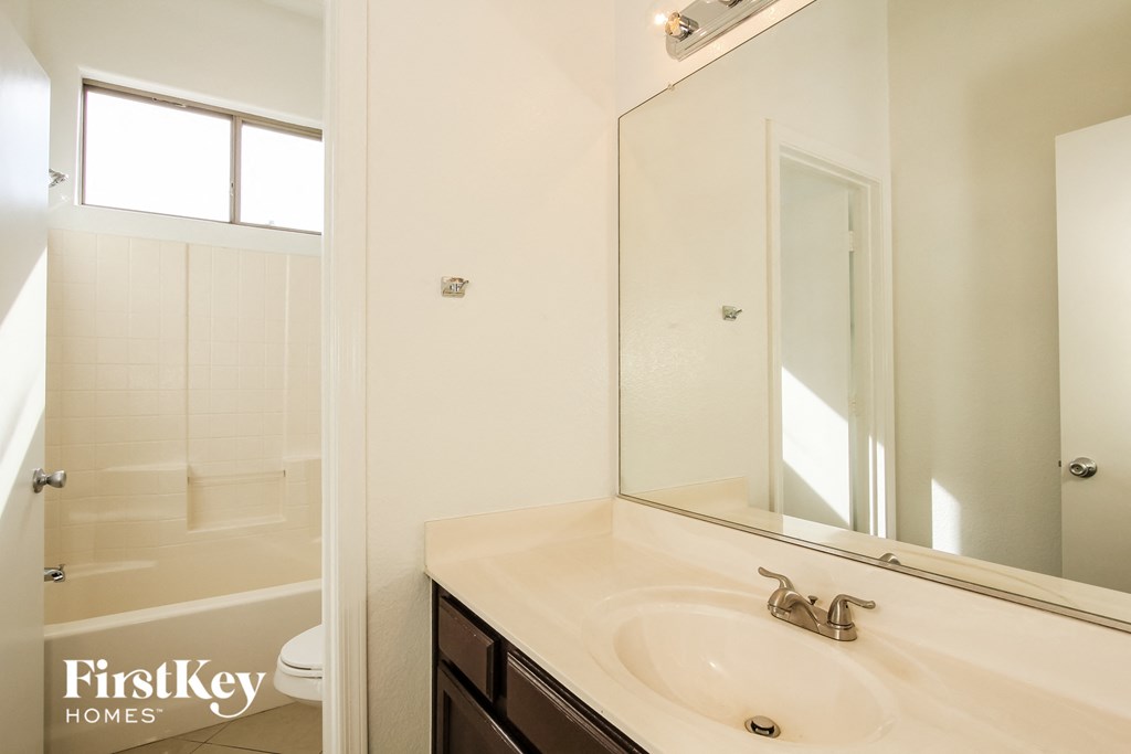 a bathroom with a sink and a mirror and a shower