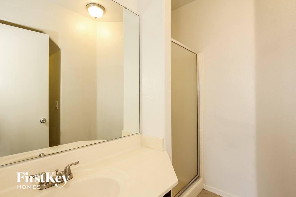 a bathroom with a sink and a large mirror