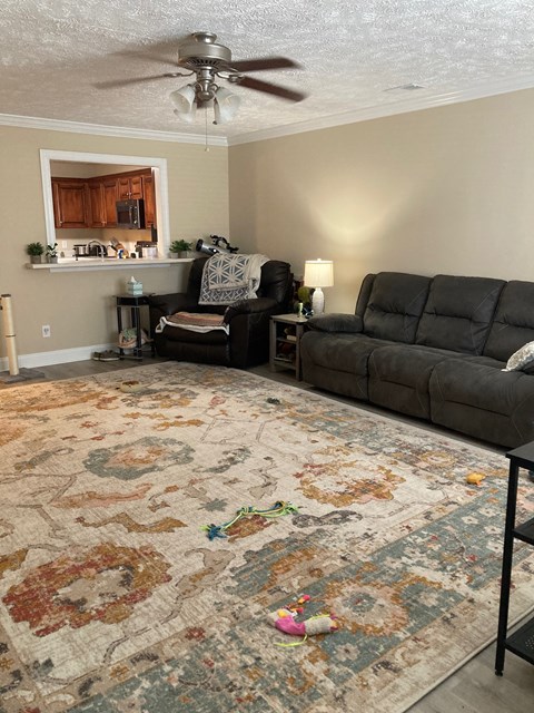 A living room with a black couch and a rug with a floral pattern.