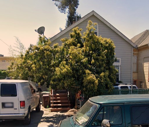 A green car is parked in front of a house with a white van and a tree.