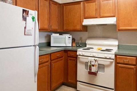 235 Harry L Drive 1 Bed Apartment for Rent - Photo Gallery 4