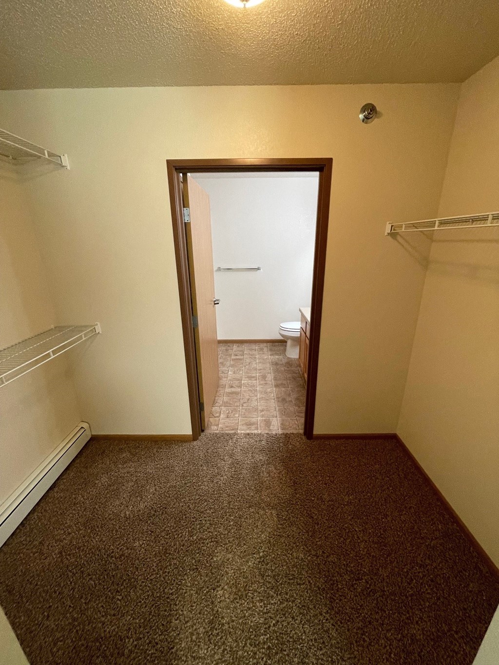 a bathroom with a closet and a toilet in it