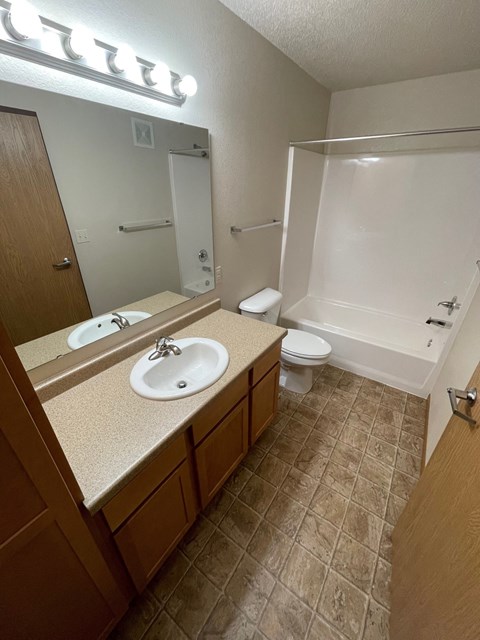 a bathroom with a sink and a toilet and a shower