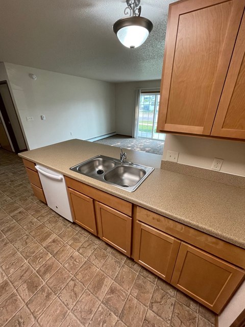 an empty kitchen with a sink and cabinets