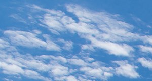 Apartments In Leesburg Fl Lake Harris Cove Apartments Concord