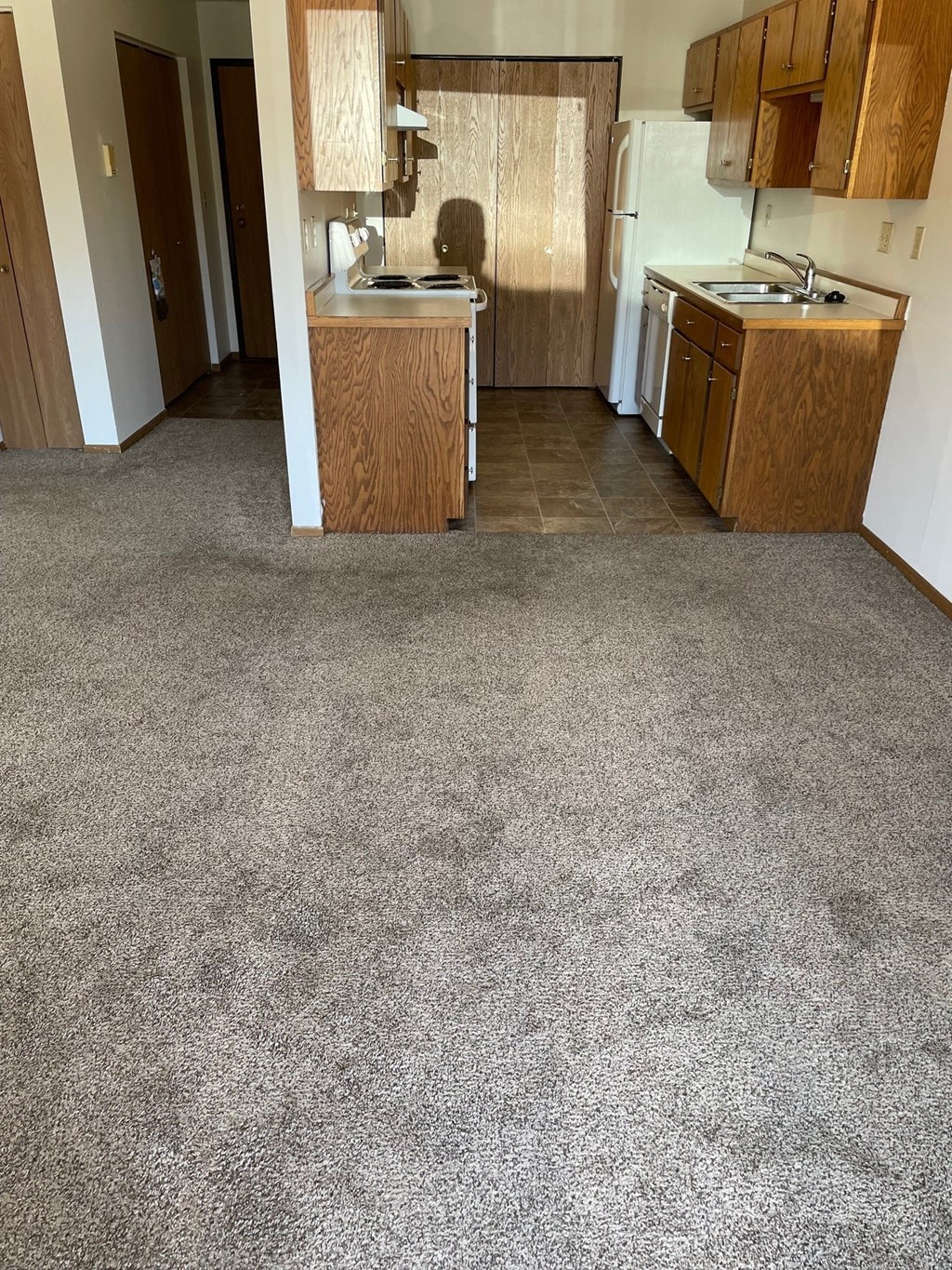 a carpeted kitchen and living room with a carpet floor