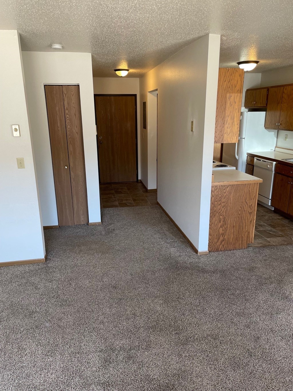 a view of a kitchen and a living room with a carpeted floor