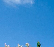 Apartments In Kissimmee Fl Regatta Bay Apartments Concord