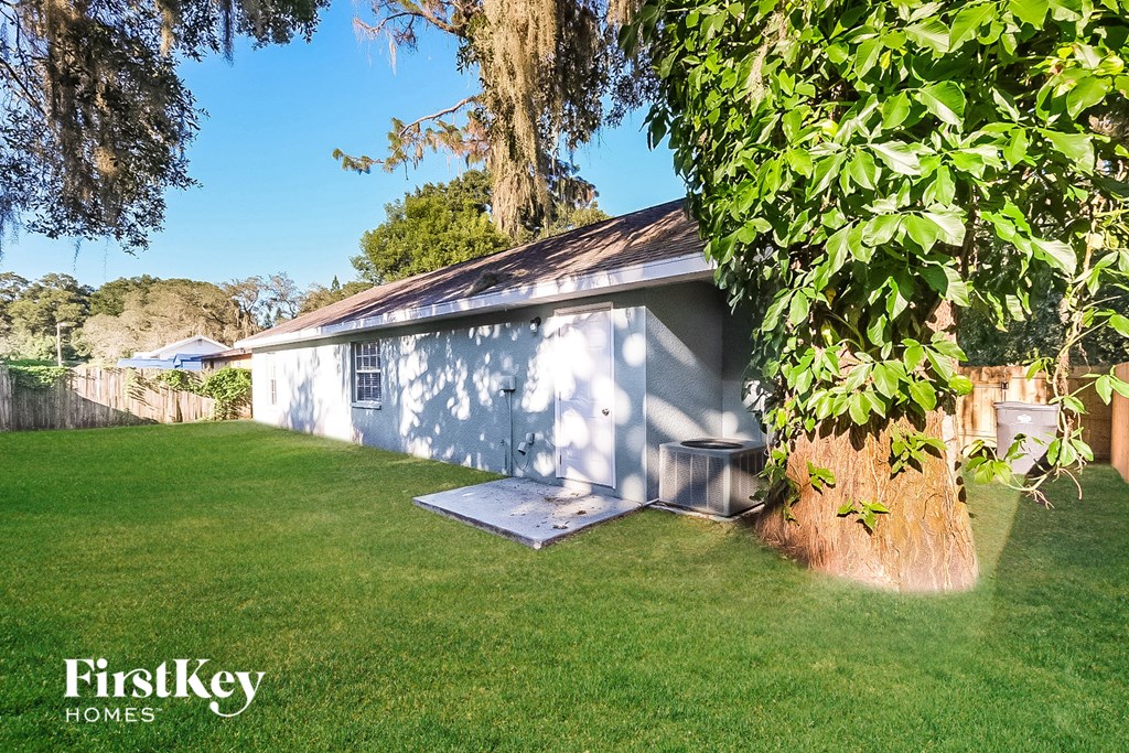 a backyard with a shed and a tree