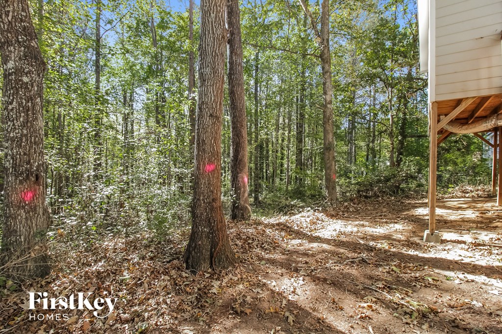 a cabin in the woods with trees and a deck