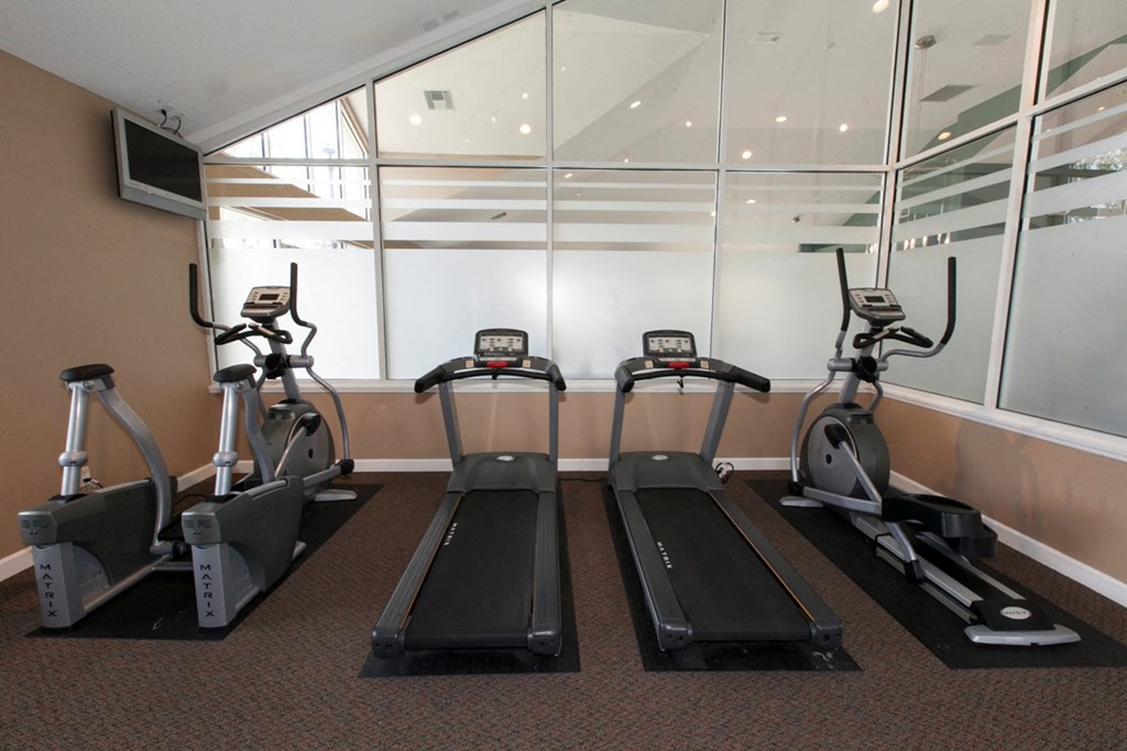 a gym with cardio equipment on the floor and a wall of mirrors