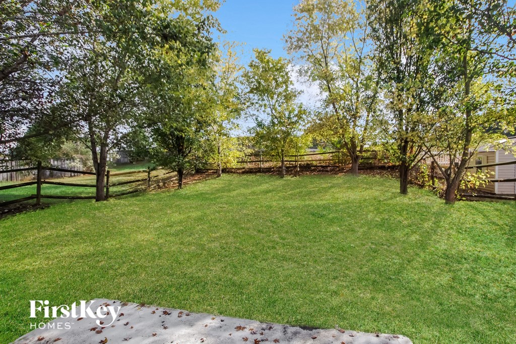 A backyard with a fence and trees.