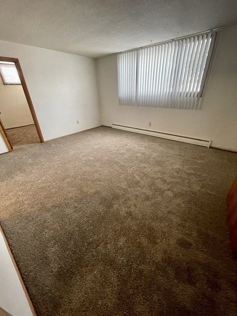 an empty living room with carpet and a window