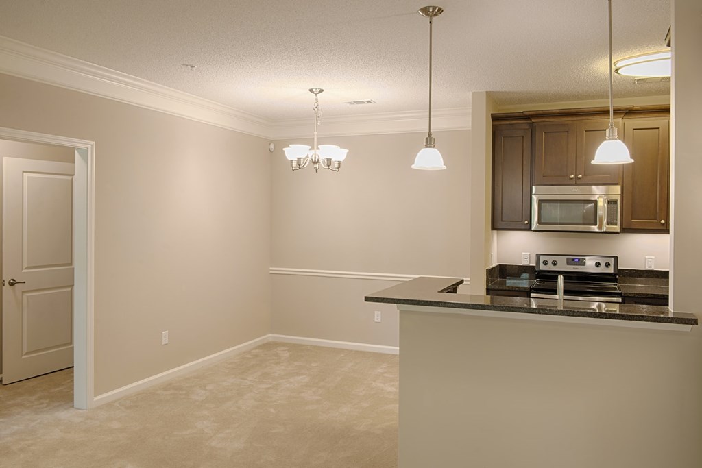 A kitchen with a counter and cabinets.