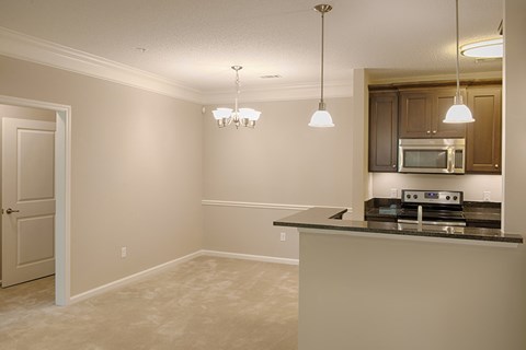 A kitchen with a counter and cabinets.