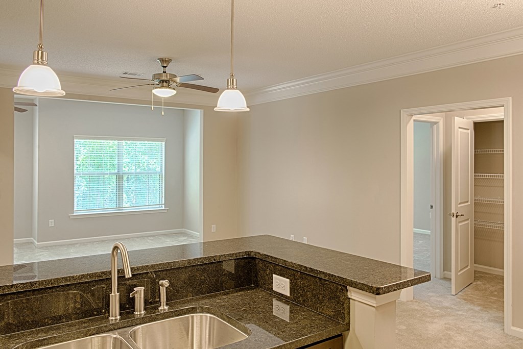 A kitchen with a granite countertop and a double sink.