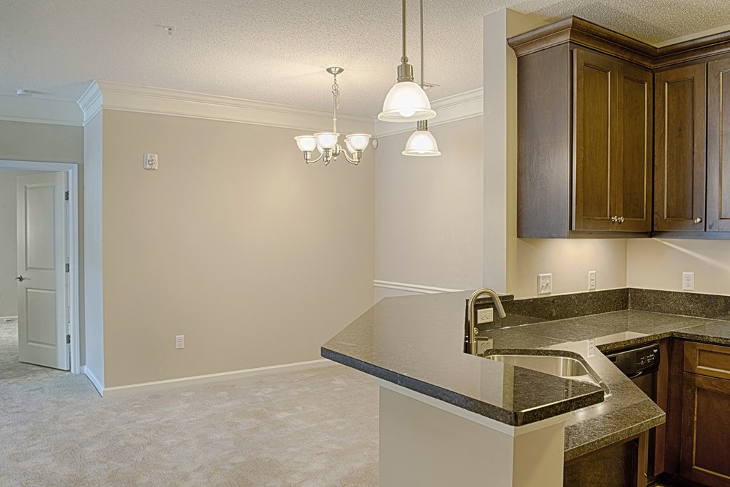 A kitchen with a granite countertop and wooden cabinets.