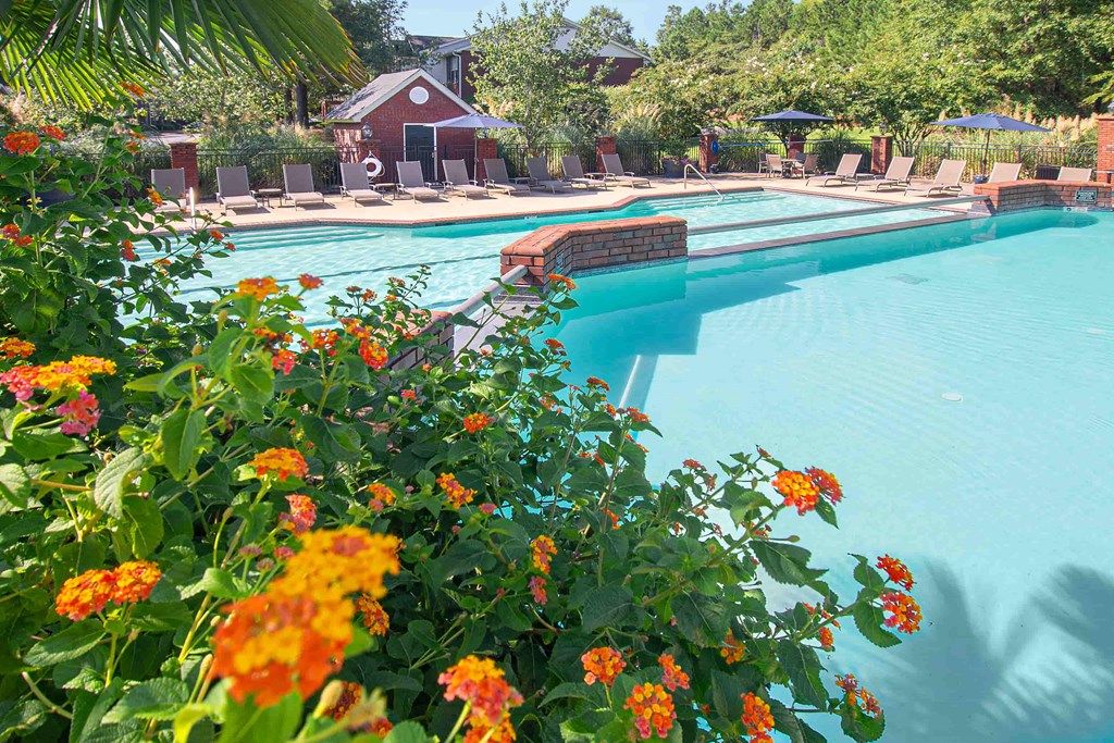 A pool surrounded by orange flowers.