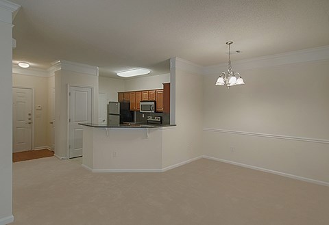 A kitchen area with a counter and cabinets.