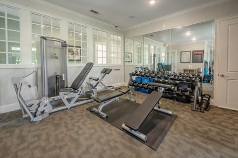 A home gym with a variety of equipment including a treadmill, weights, and a bench press.