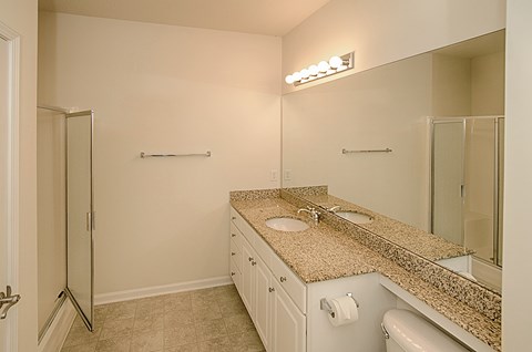 A bathroom with a sink, mirror, and toilet.