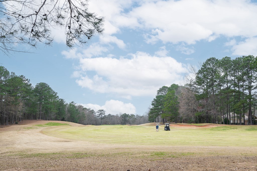 A golf course with two golf carts on the green.
