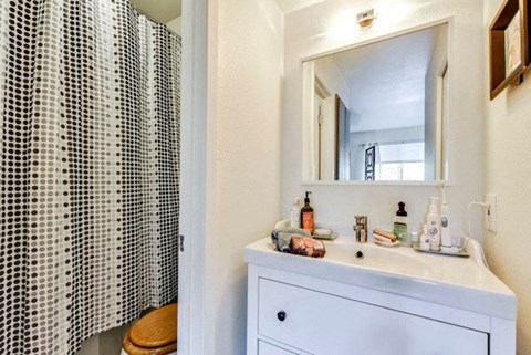 a bathroom with a sink and a shower and a mirror