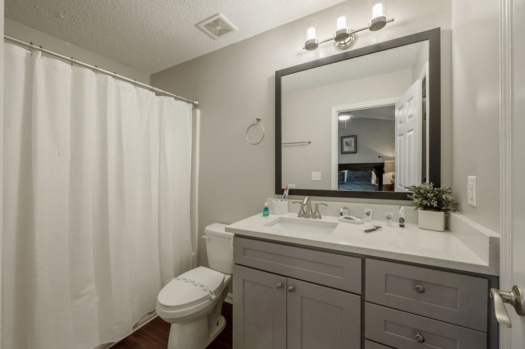 A bathroom with a toilet, sink, and shower curtain.
