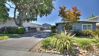 the front yard of a house with a tree and a sidewalk