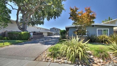 330 Ventura Ave 1-2 Beds Apartment for Rent
