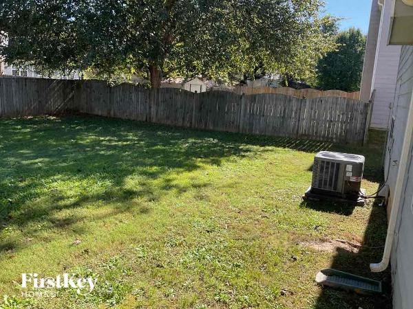 A backyard with a fence and a tree.