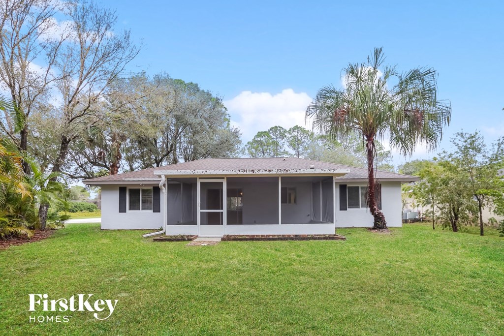 a white house with a palm tree in front of it