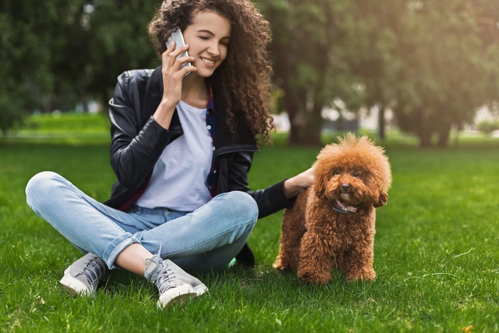 a woman sitting on the grass talking on her cell phone with her dog
