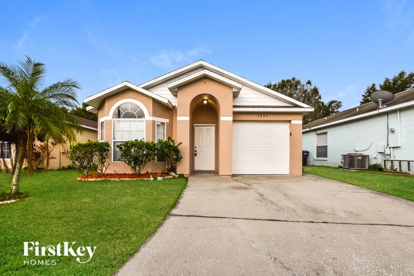 A house with a driveway and a palm tree in front.