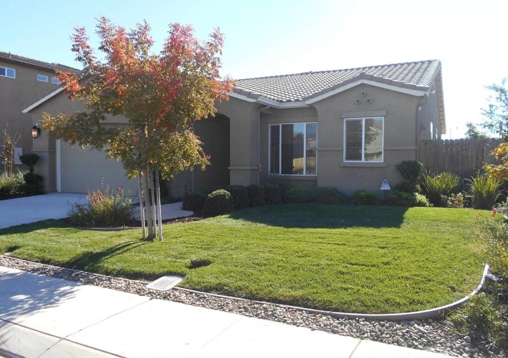 a house with a lawn and a tree in front of it