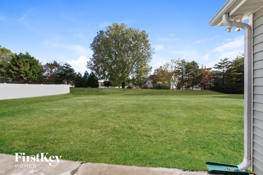 the backyard of a house with a lawn and a tree