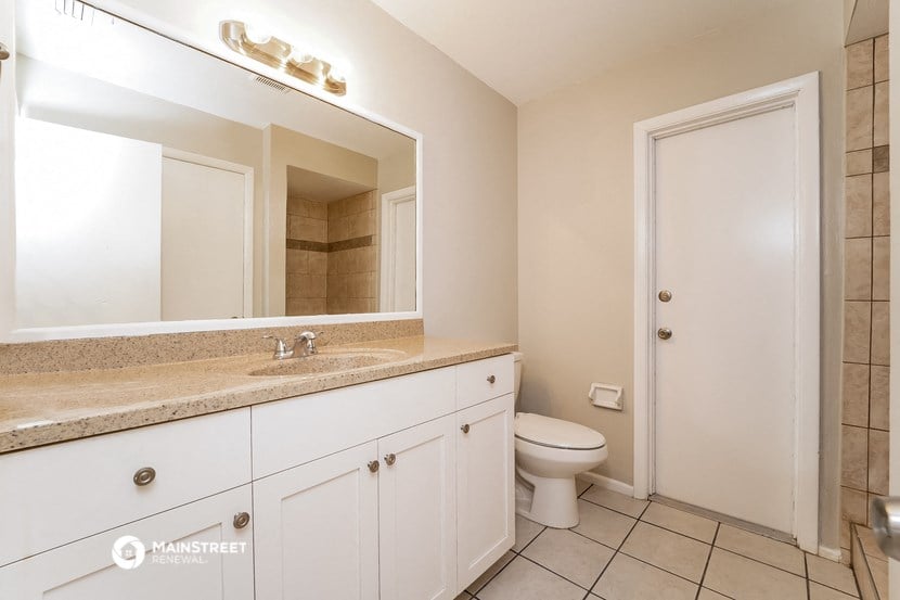 a bathroom with a sink and a toilet and a mirror