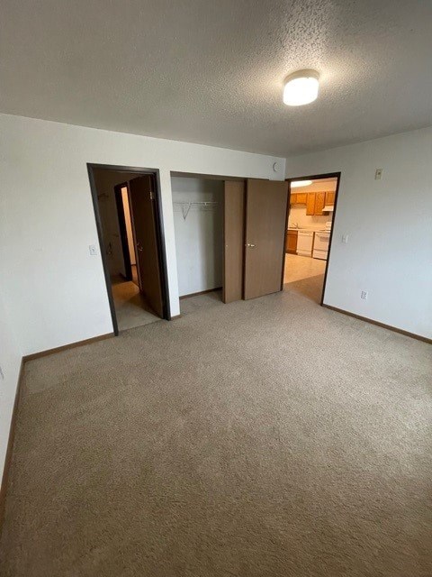 A room with carpeted floor and three open doors.
