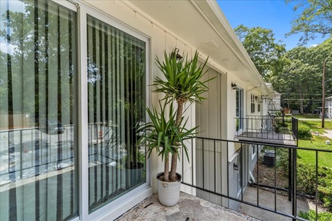 a patio with a potted plant and glass doors