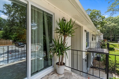 a balcony with a potted plant and glass doors