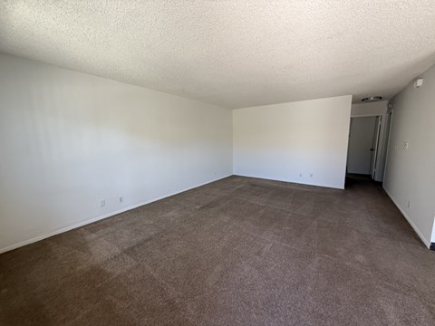 A room with brown carpet and white walls.