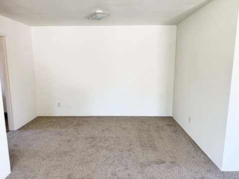 A room with white walls and carpeted floor.