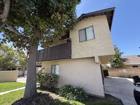 A modern house with a tree in front.