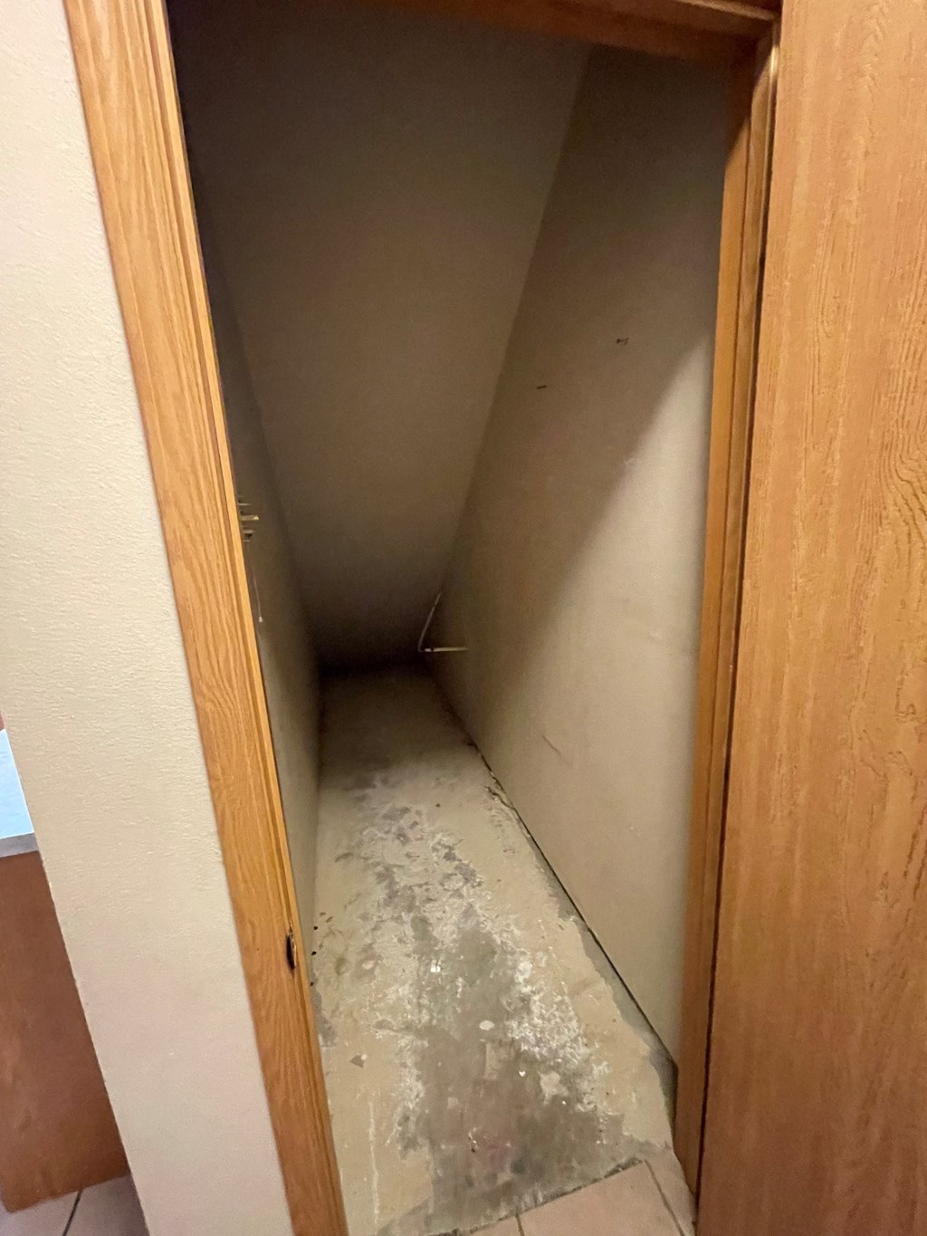 the closet in the bathroom is full of mud and the door is open