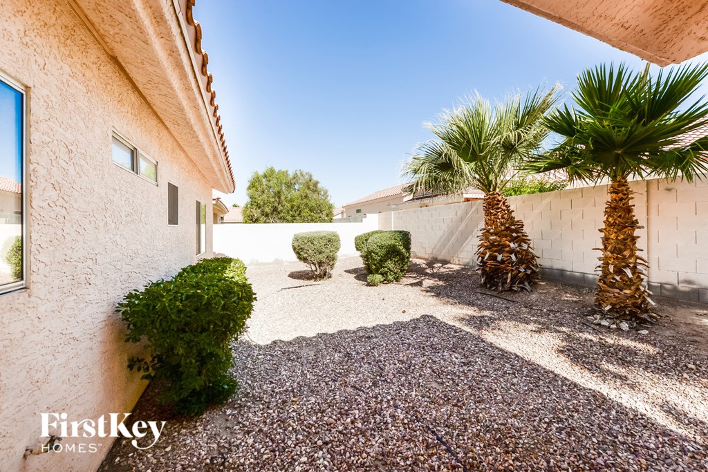 a backyard with palm trees and gravel and a house