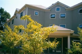 A grey house with a yellow tree in front.