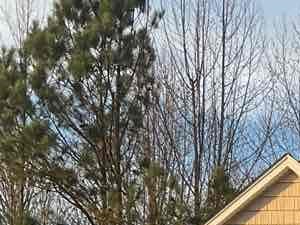 A two-story house with a garage is for sale.