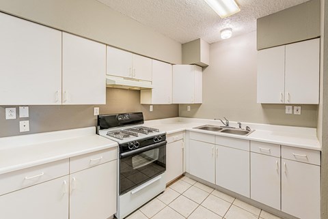 the preserve at ballantyne commons apartment kitchen with stove and sink