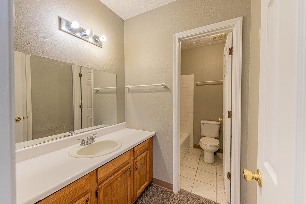 a bathroom with a sink and a mirror and a toilet